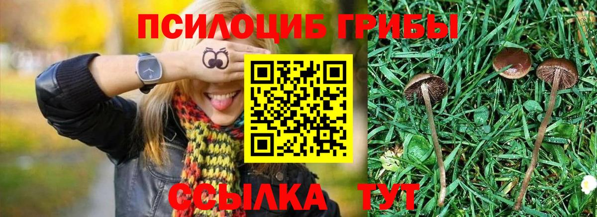 Псилоцибиновые грибы Magic Shrooms  Вход с VPN  Галлюциногенные грибы Psilocybine cubensis  Лиски 