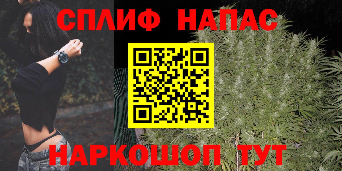 Каннабис сатива  Бошки марихуана индика  Конопля план  Лиски  Вход с VPN 